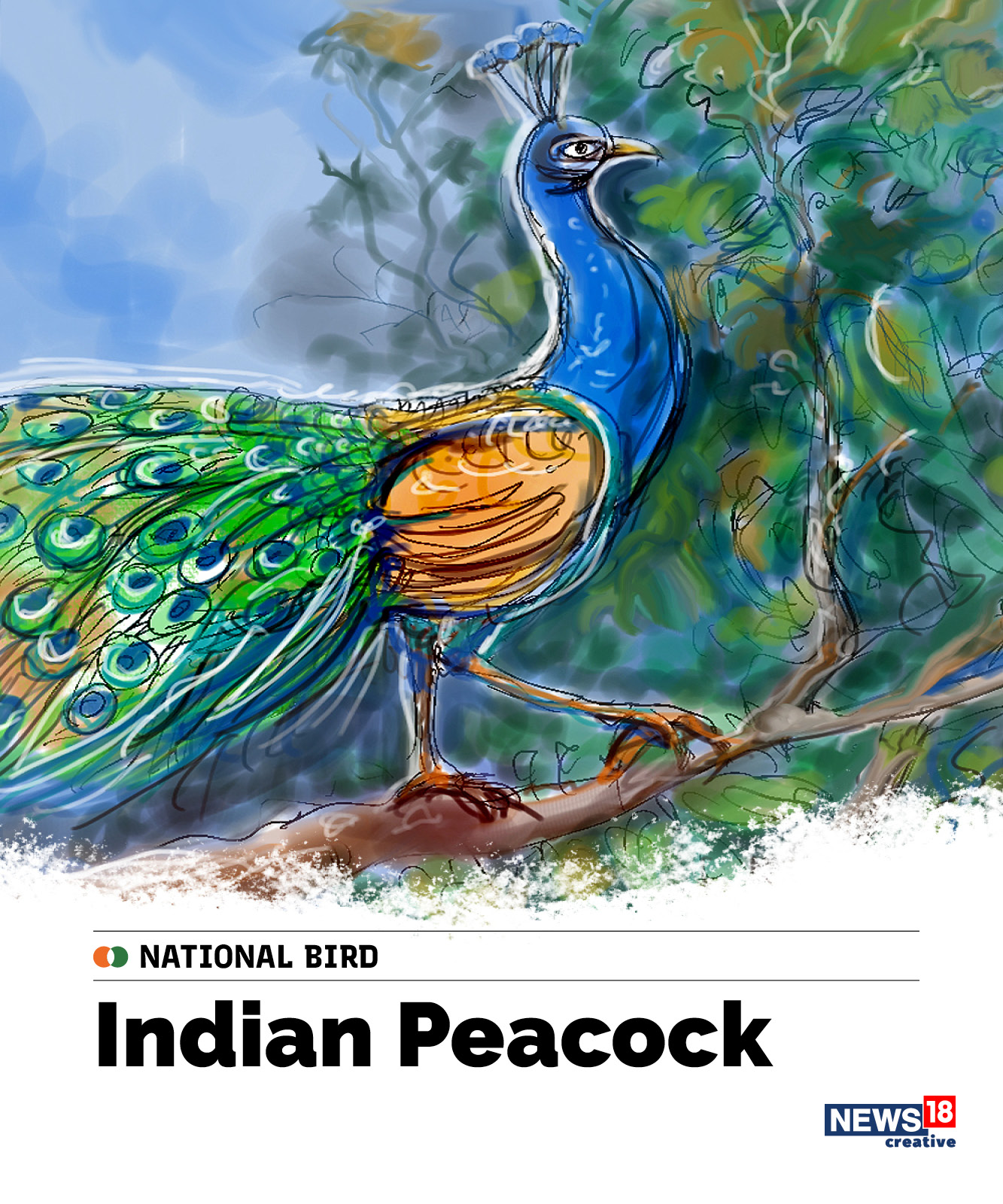 India's National Bird, Painting by Young Artist Arpita Jambekar