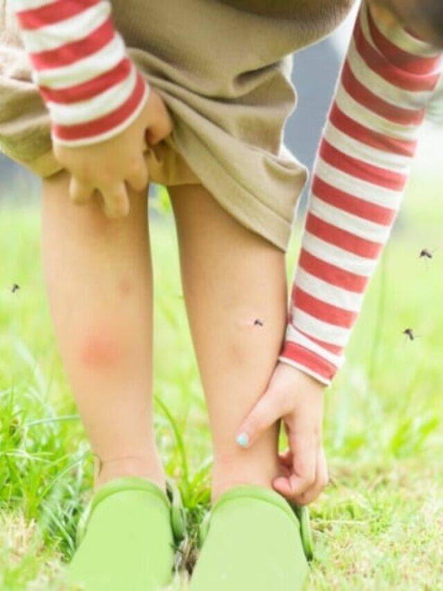 Protect Yourself From Dengue With These Tips protect-yourself-from-dengue-with-these-tips