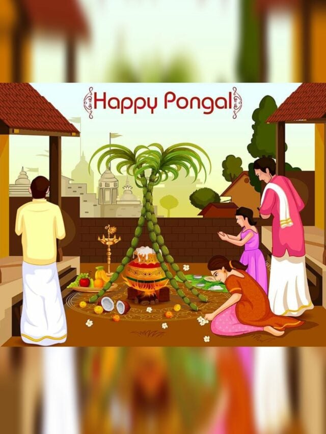 Pongal 2024 Date, Significance And Celebration