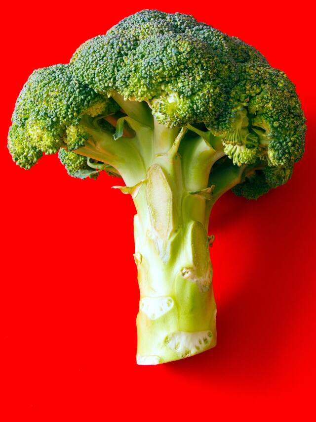 Share 152+ broccoli benefits for hair POPPY