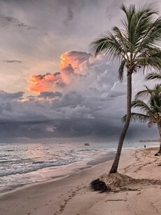 5 strange things found washed up on beaches