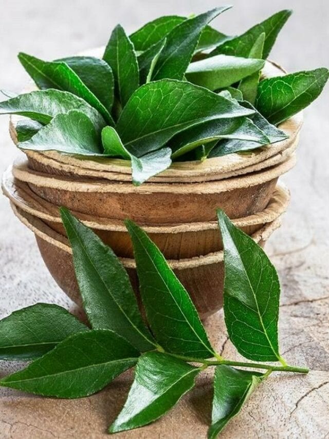 5-health-benefits-of-curry-leaves