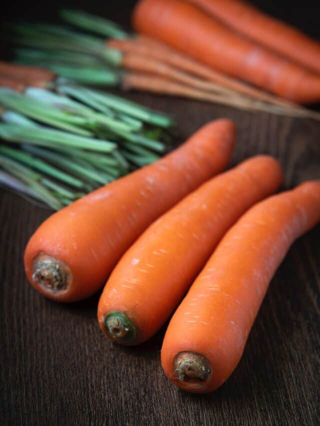 9 Healthy Root Vegetables You Should Eat