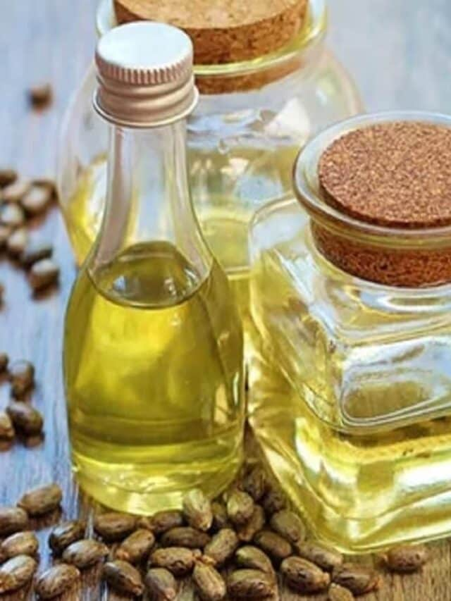 6 Healthy Cooking Oils for Good Health