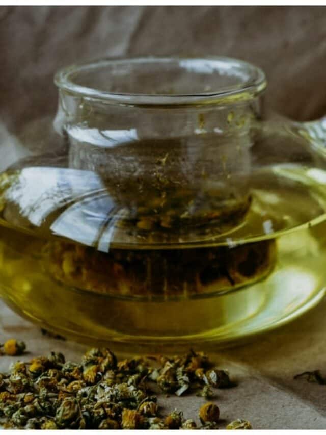 6 benefits of drinking Green Tea