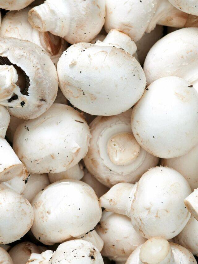 7 Benefits Of Consuming Mushrooms