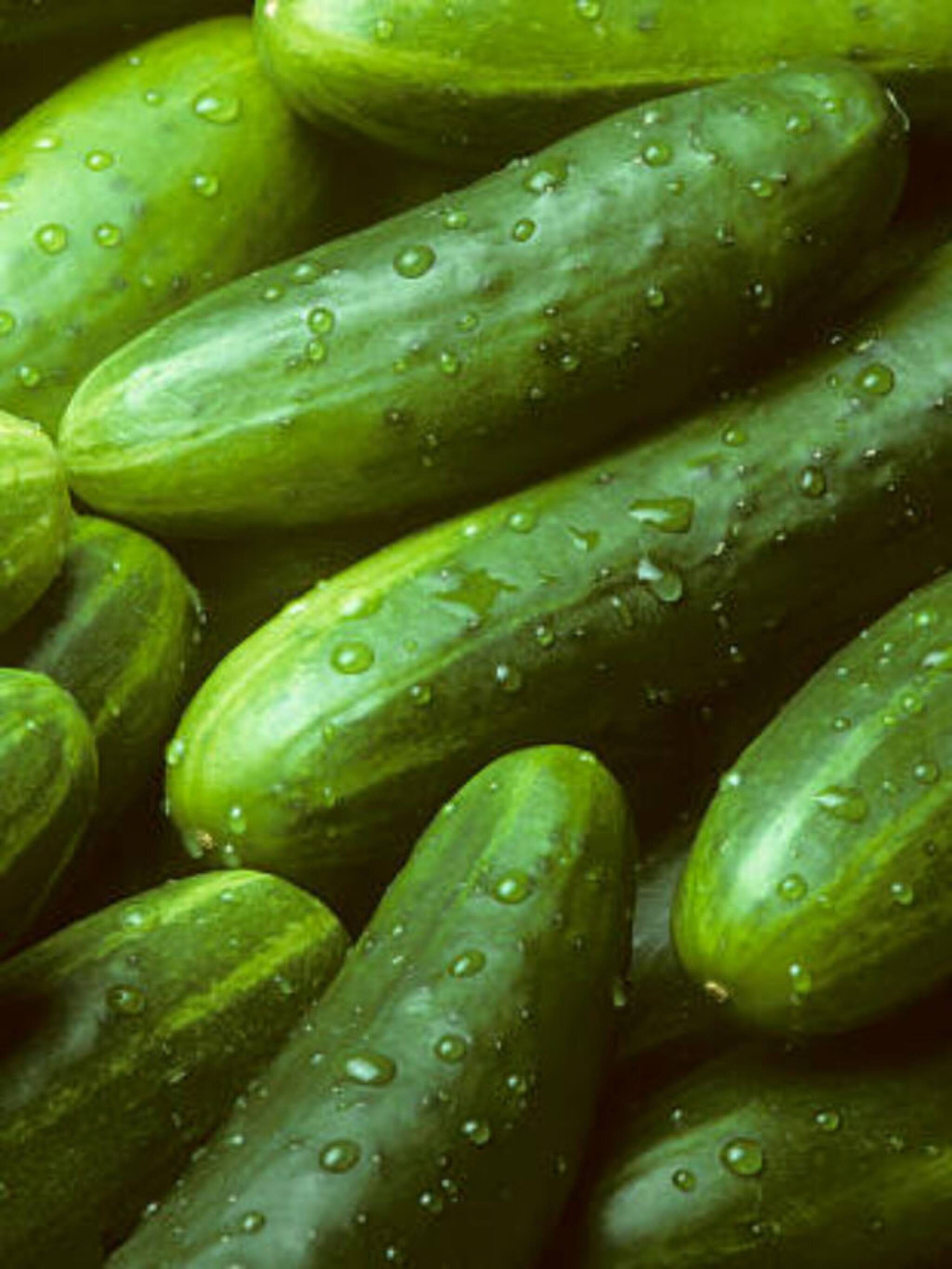 काकडीच्या सालीचे हे जबरदस्त फायदे माहितीये?