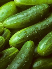 Cucumber Benefits: کھیرے کھانے کے کچھ حیرت انگیز  فائدے