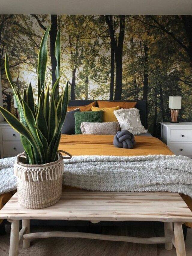 9 house plants that will aid better sleep