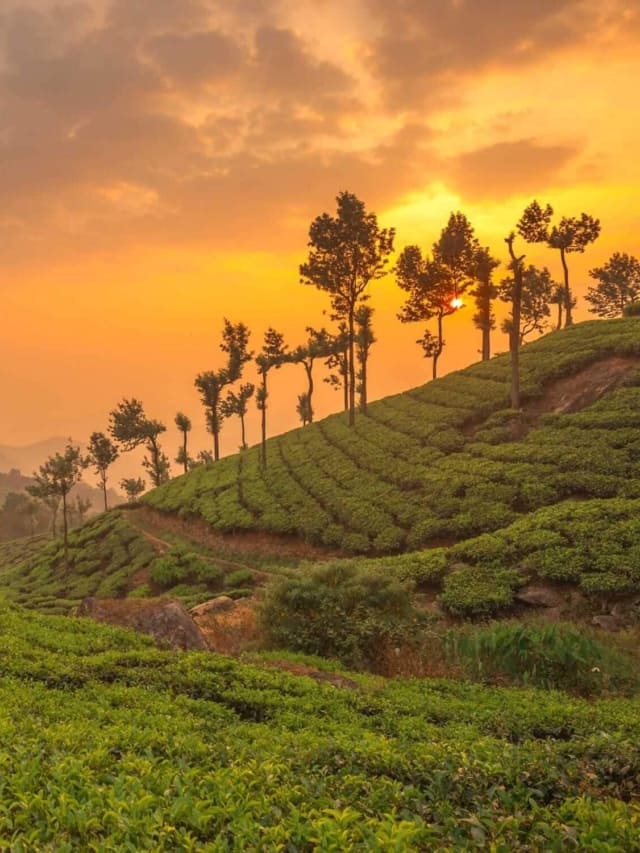 જાણો દક્ષિણ ભારતના સૌથી સુંદર હિલ સ્ટેશન