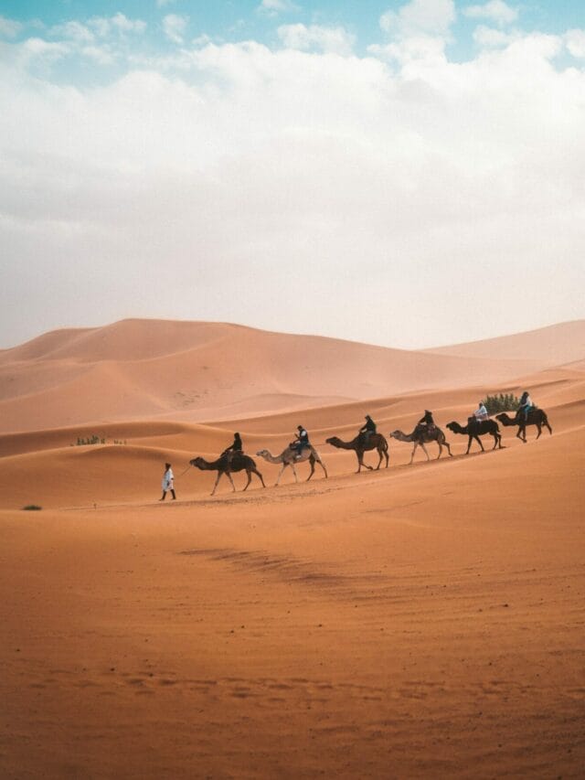 10 Interesting Facts About The Sahara Desert