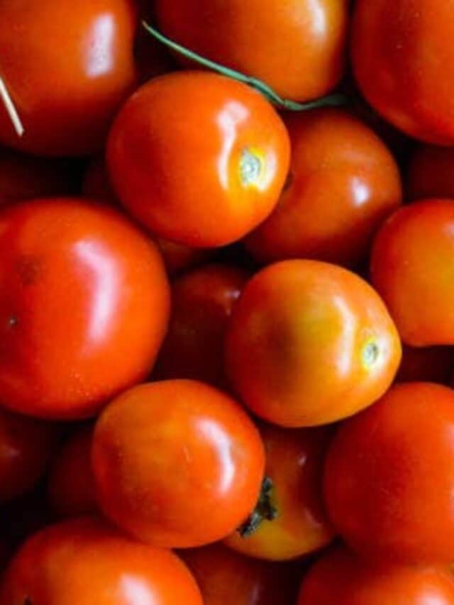 How To Grow Cherry Tomatoes In Your Home Garden how-to-grow-cherry-tomatoes-in-your-home-garden