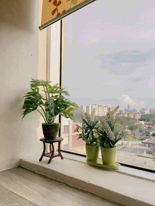 7 Good Reasons to Buy Fake Plants