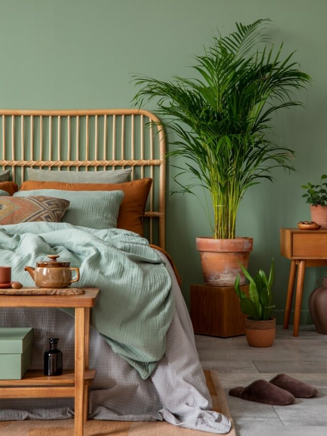 5 Benefits Of Having Plants In Your Bedroom