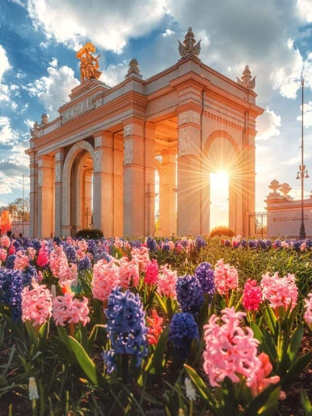 6 Reasons To Visit Moscow