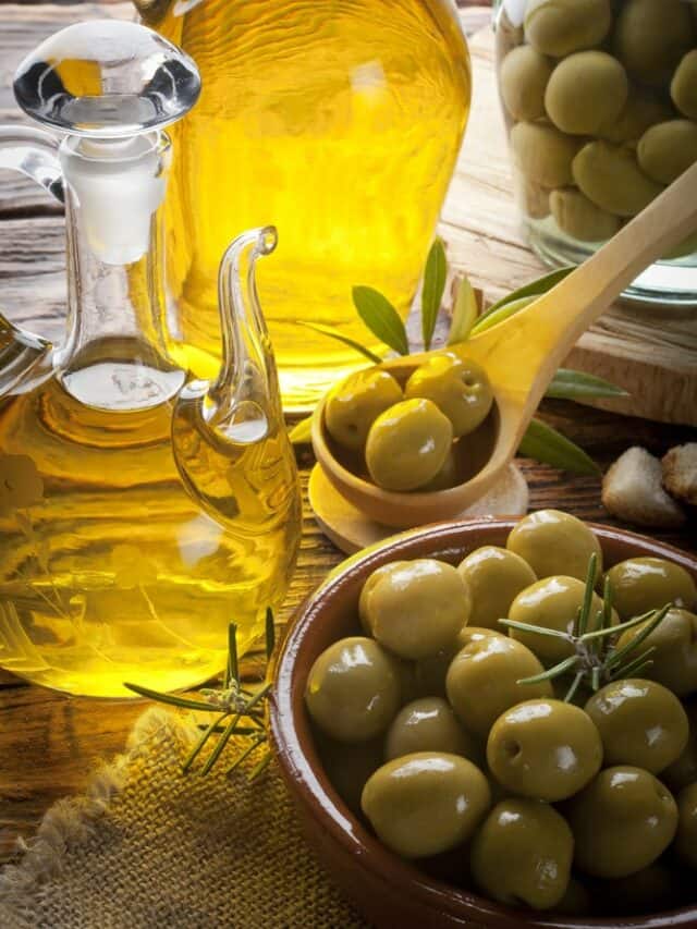 10 Tips To Grow Olives In Your Garden In India