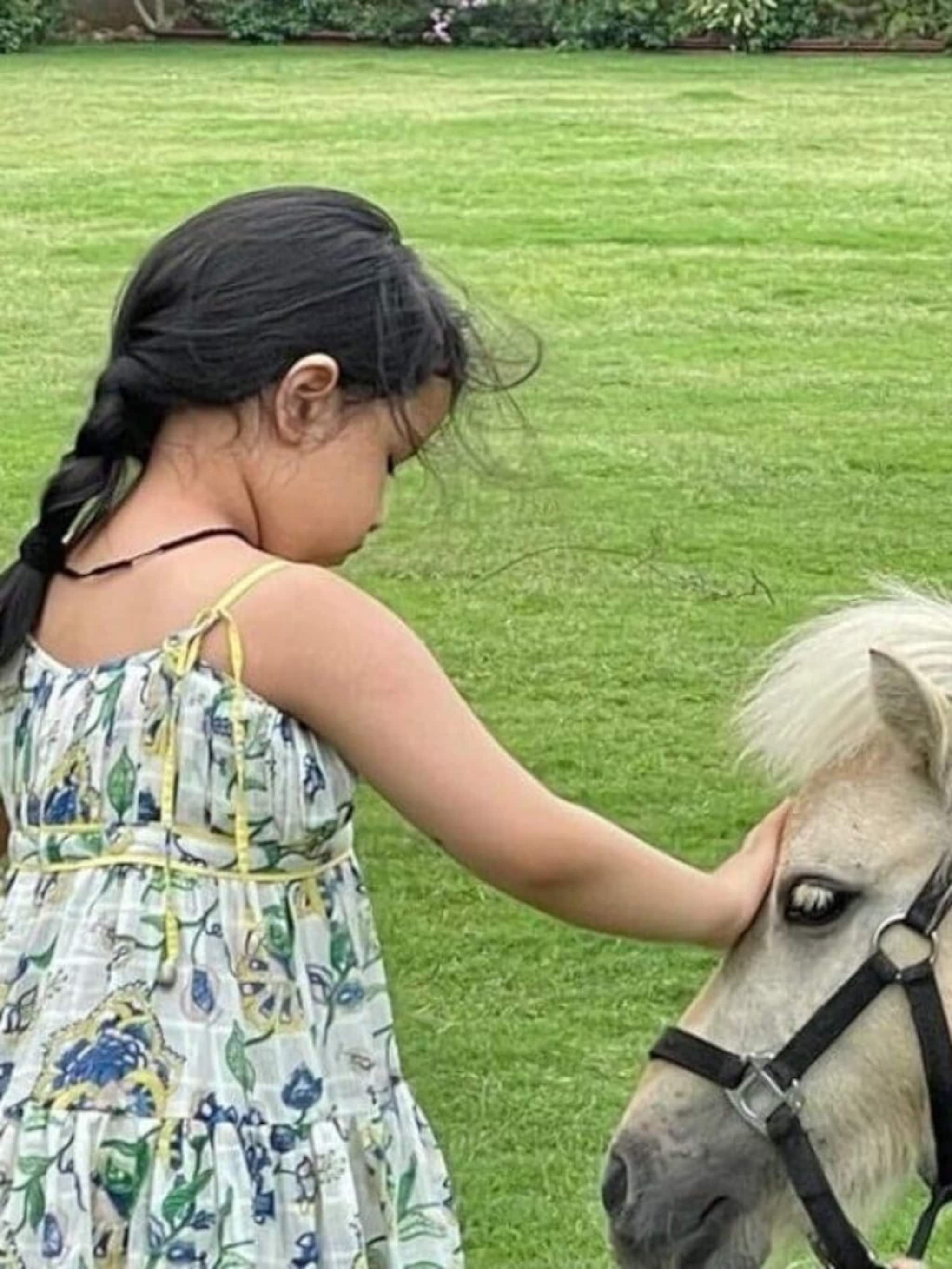 ধোনির মেয়ে জিভার স্কুলের ফি কত? শুনলে চমকে যাবেন…!