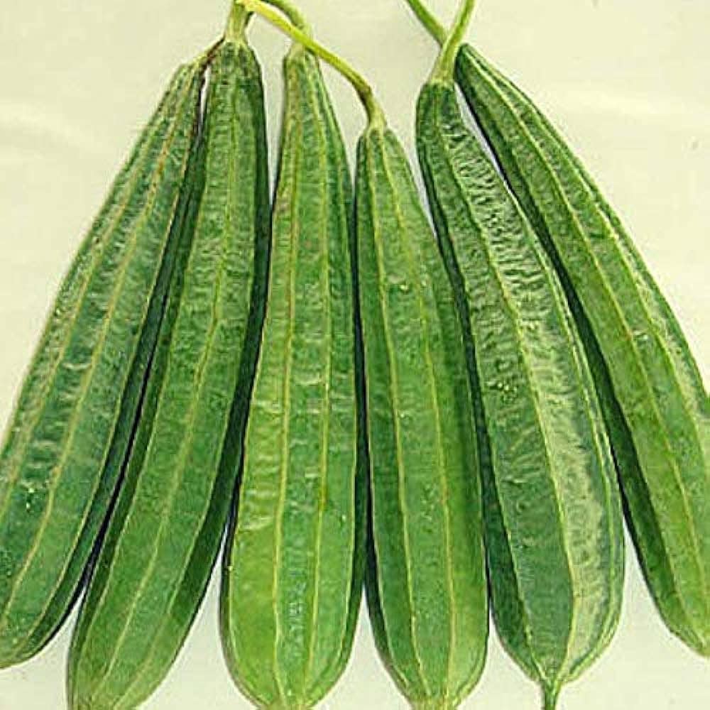 Kesharth Hair Oil An Anti-Grey Hair Oil with Ridge Gourd Oil / Torai Oil