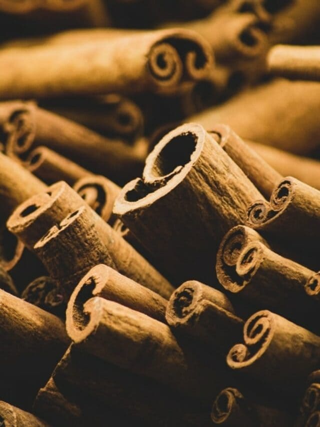 10 Ways To Grow Cinnamon Indoors
