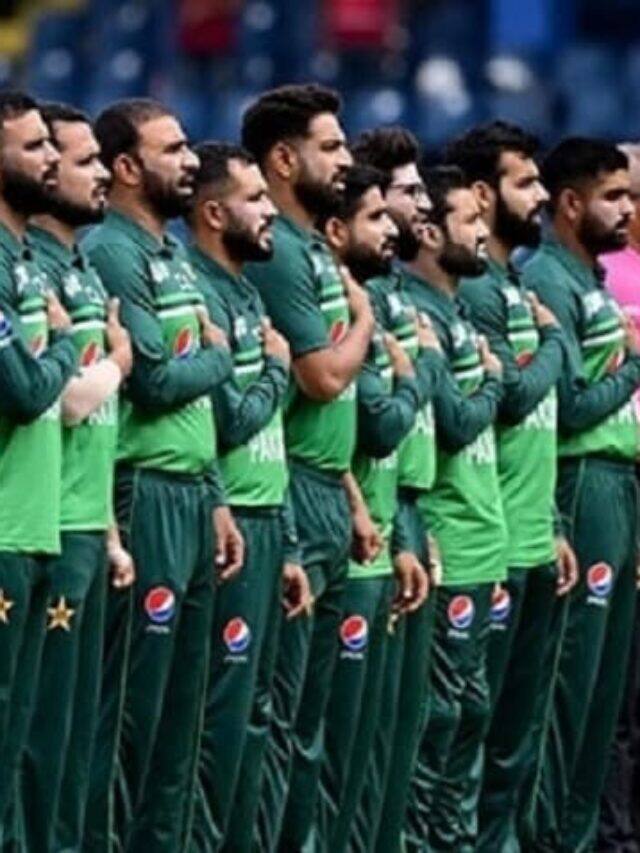 Pakistan Cricket Team:پاکستان کرکٹ ٹیم کو کیا ویزا ملا؟