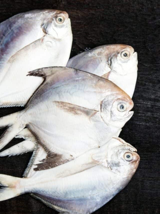 7 Amazing Benefits of Eating Pomfret