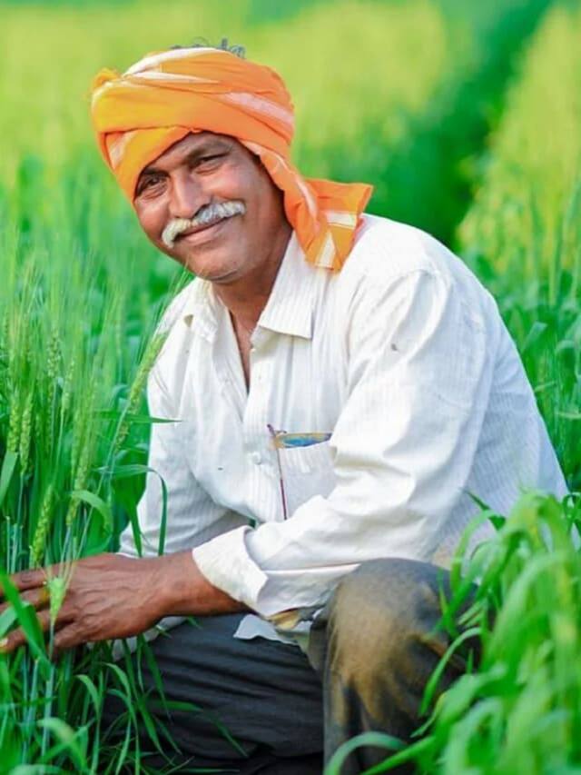 થોડા સમયમાં જ લખપતિ બનવું હોય તો કરો આ 5 ખેતી, થશે અંધાધૂંધ કમાણી