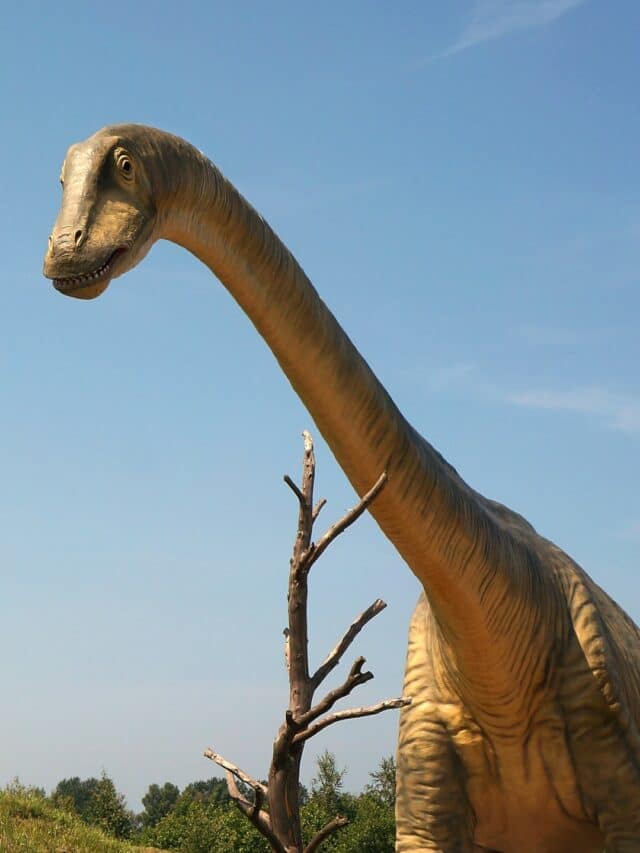 ઉલ્કાપિંડ નહીં આ કારણે વિલુપ્ત થયા હતાં ડાયનાસોર!