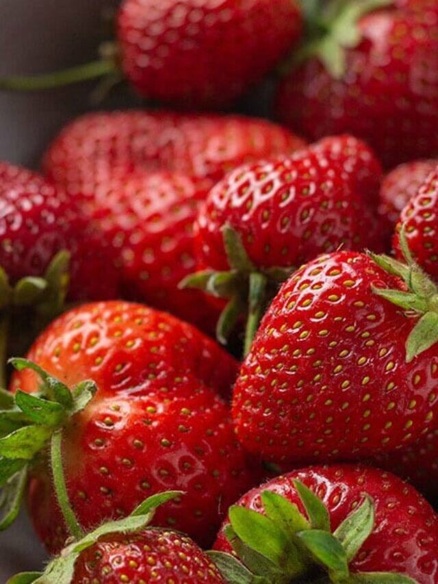 10 Tips To Grow Strawberries In December