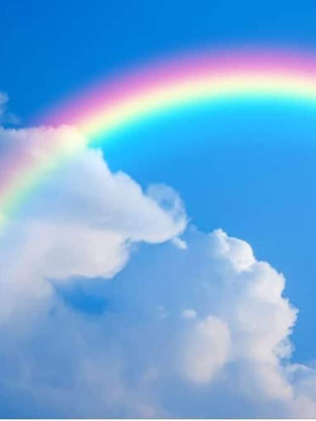 99 ટકા લોકો નથી જાણતાં મેઘધનુષની આ હકીકત!