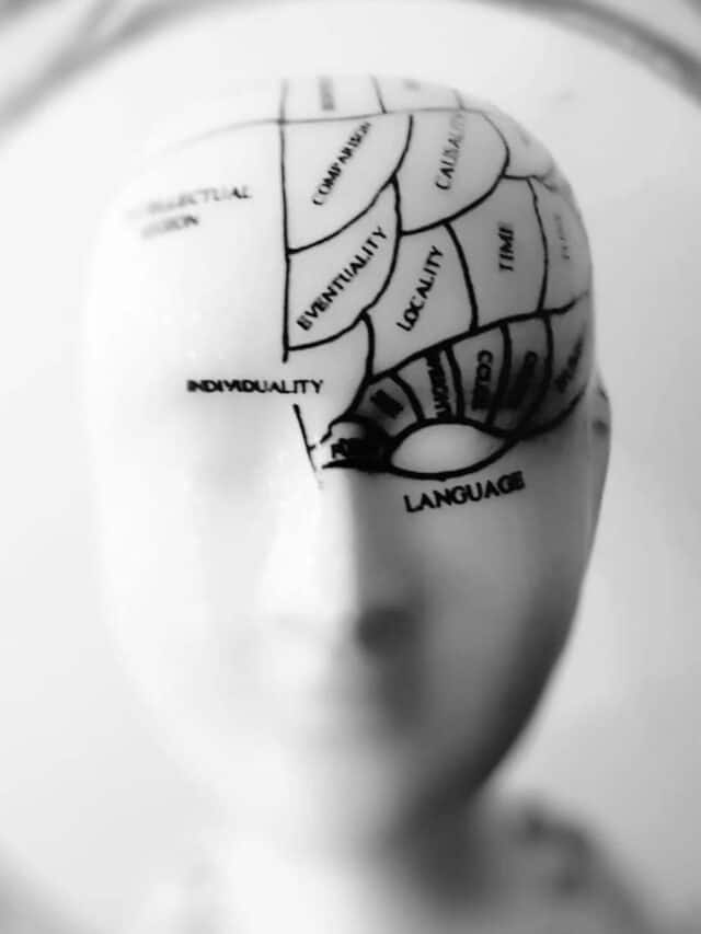 IMPORTANT FACTS ABOUT HUMAN BRAIN visual data 7