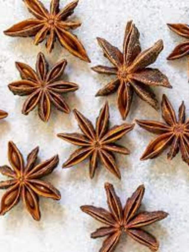 7 Benefits Of Using Star Anise In Cooking