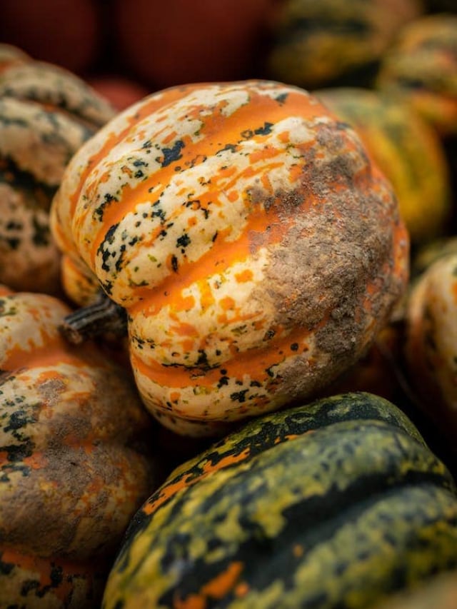 reasons-to-add-pumpkin-to-your-diet