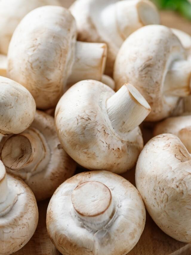6 Amazing Benefits Of Mushroom Elixirs