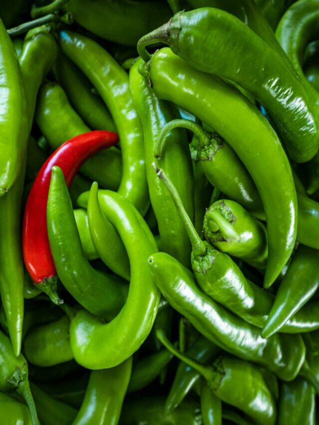 10 Health Benefits of Green Chillies