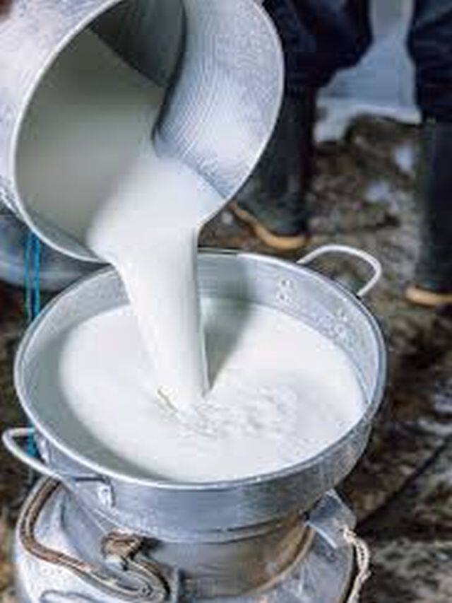 દૂધથી સ્વાસ્થયને લગતા ફાયદા