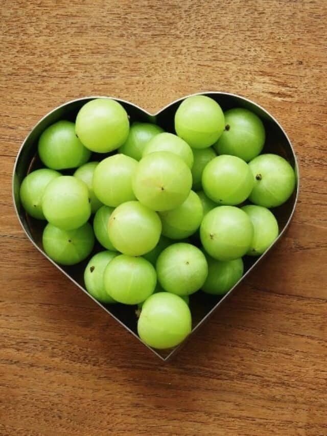 શિયાળામાં શરદી-ઉધરસ નહીં થવા દે આમળા, સેવનથી થશે અઢળક લાભ