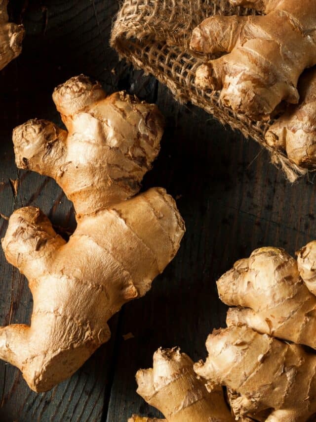 શિયાળામાં રામબાણ છે આદુનું સેવન, દૂર ભાગશે બીમારીઓ!