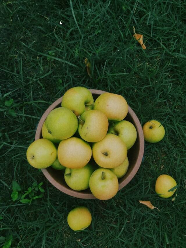 5 Benefits of Green Apples