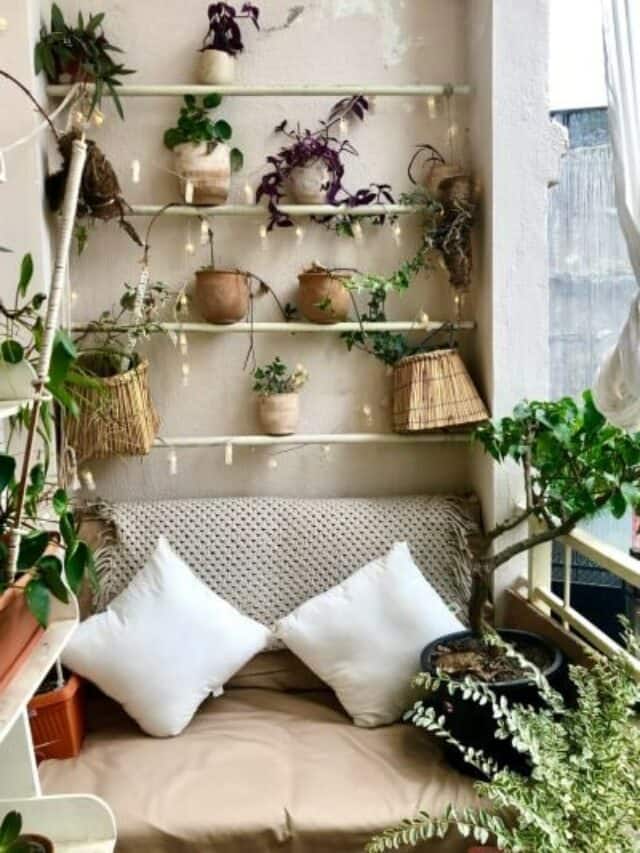 7 Plants That Look Good As Decorative Pieces