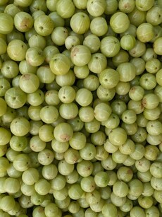 Amazing benefits of Amla aka Indian Gooseberry