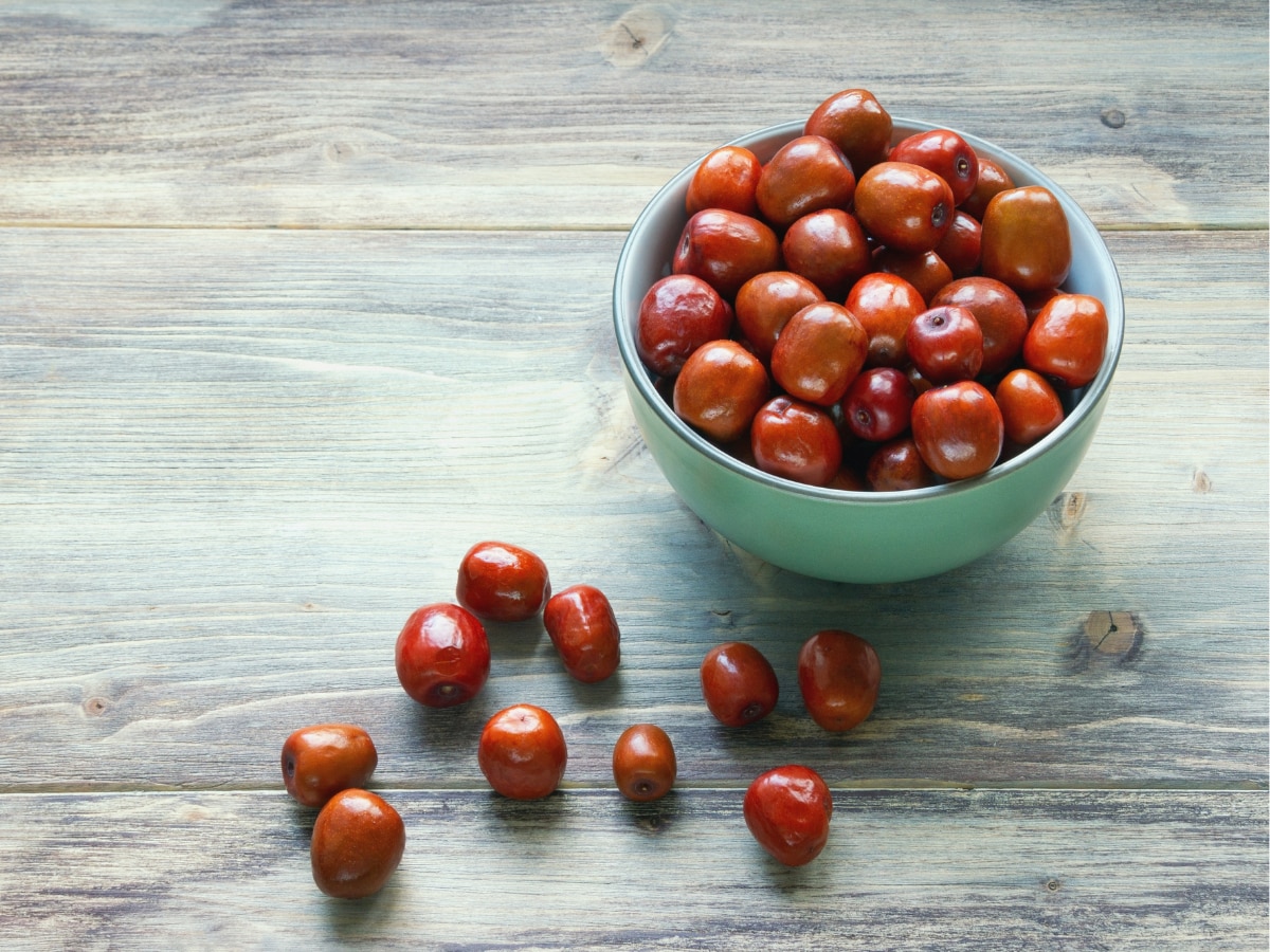 jujube fruit (11)