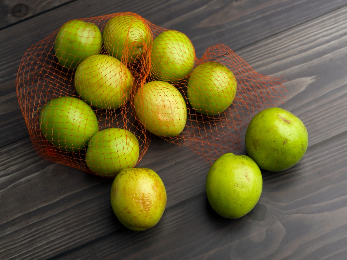 jujube fruit (2)