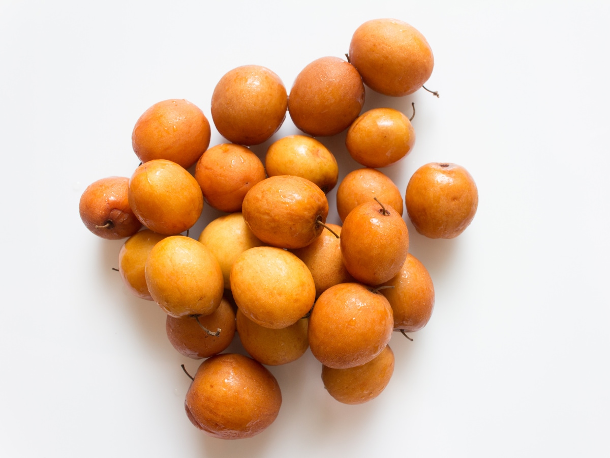 jujube fruit (8)