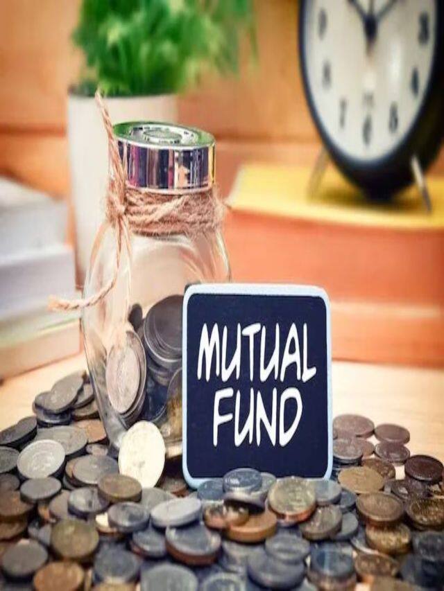 આ કંપનીઓના શેર Mutual Funds ની પ્રથમ પસંદગી