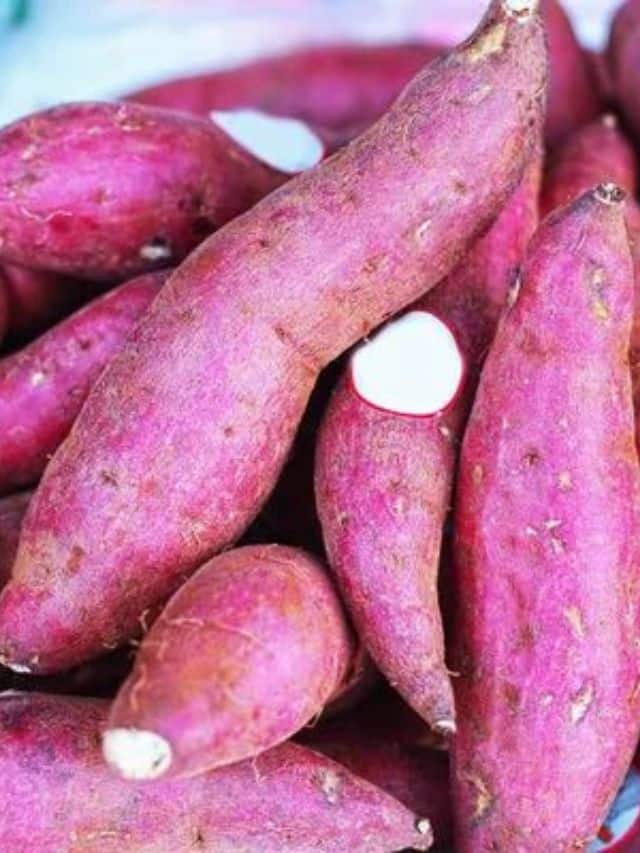 શિયાળામાં શક્કરીયા વધુ ખાઓ, થશે આ 6 મોટા ફાયદા