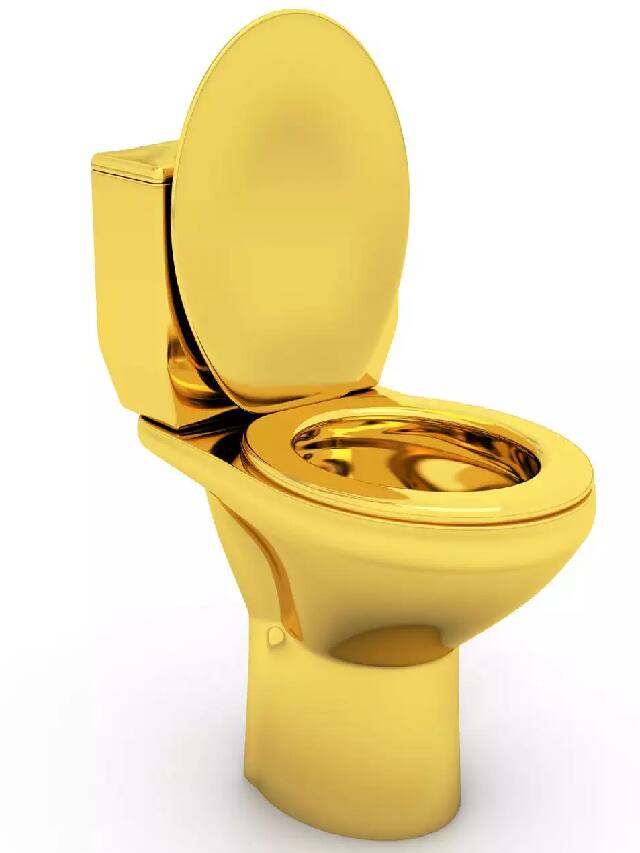 અહીંથી ગાયબ થઈ ગયું સોનાનું શૌચાલય, કિંમત જાણીને ચોંકી જશો