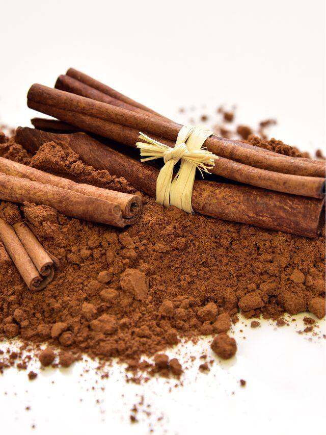 સુગર કંટ્રોલ કરવા રોજ ખાઓ લાકડા જેવી વસ્તુનો પાઉડર, વજન પણ ઘટશે