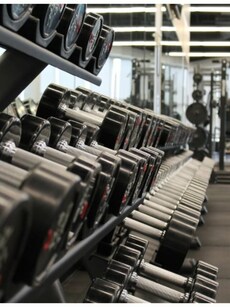 6 exercises useful in building muscles