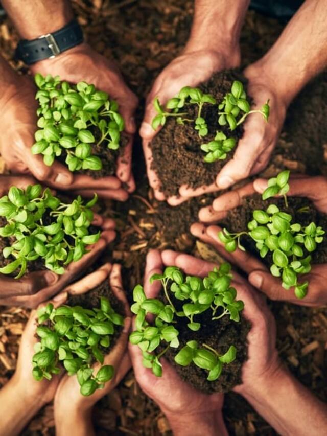 ઘર બેઠા તમારી અગાસીનો કરો ઉપયોગ અને લાખો રૂપિયા કમાઓ