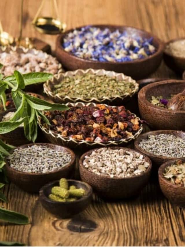 આ ઘરેલુ પાવડર ગાયબ કરી દેશે તમારું ડાયાબિટીસ